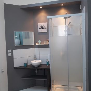 duplex_avec_cour_web (13)